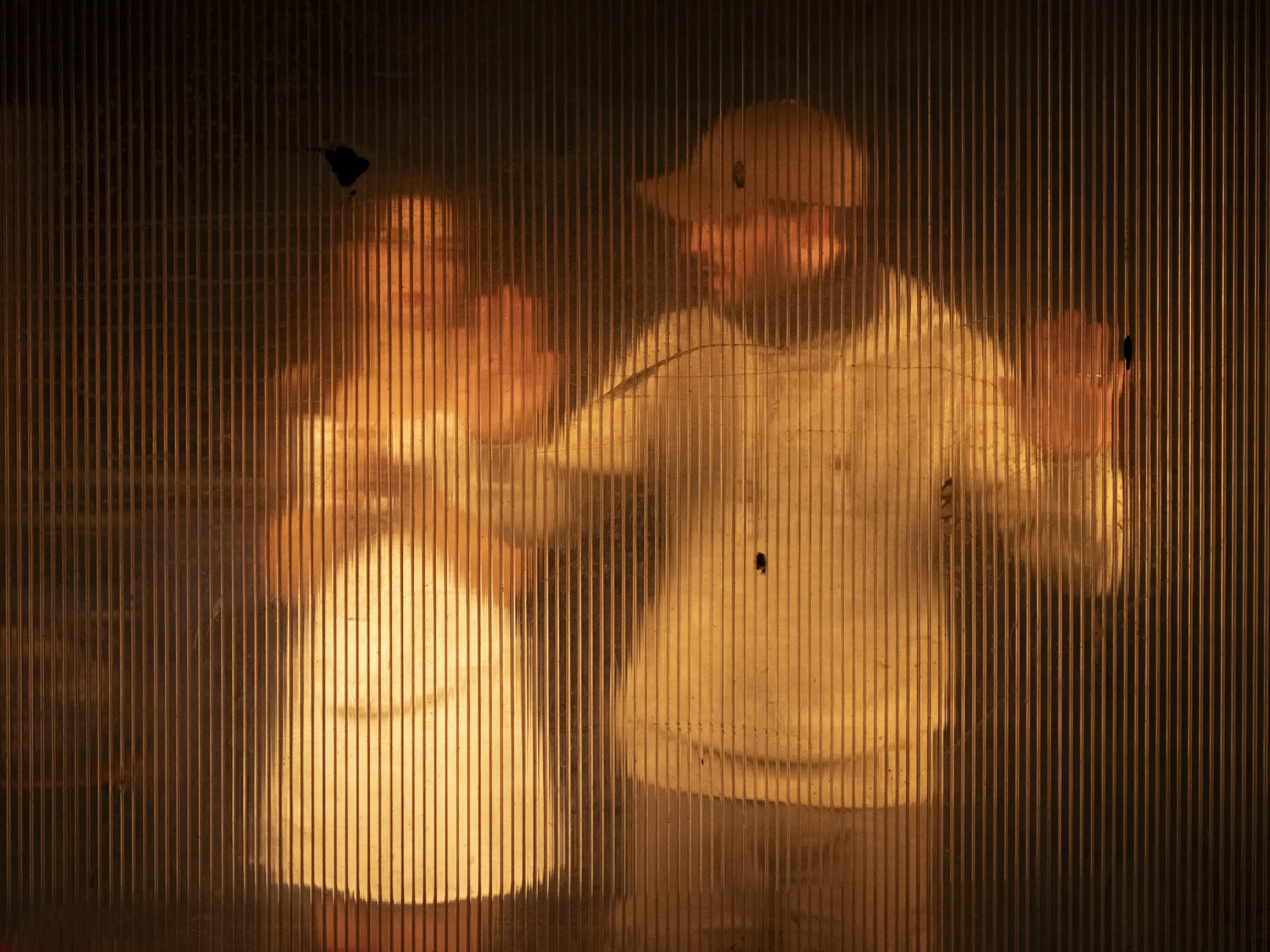 bambola-videoclip-musicale-maria-carola-foto-backstage-luca-martino-14.webp