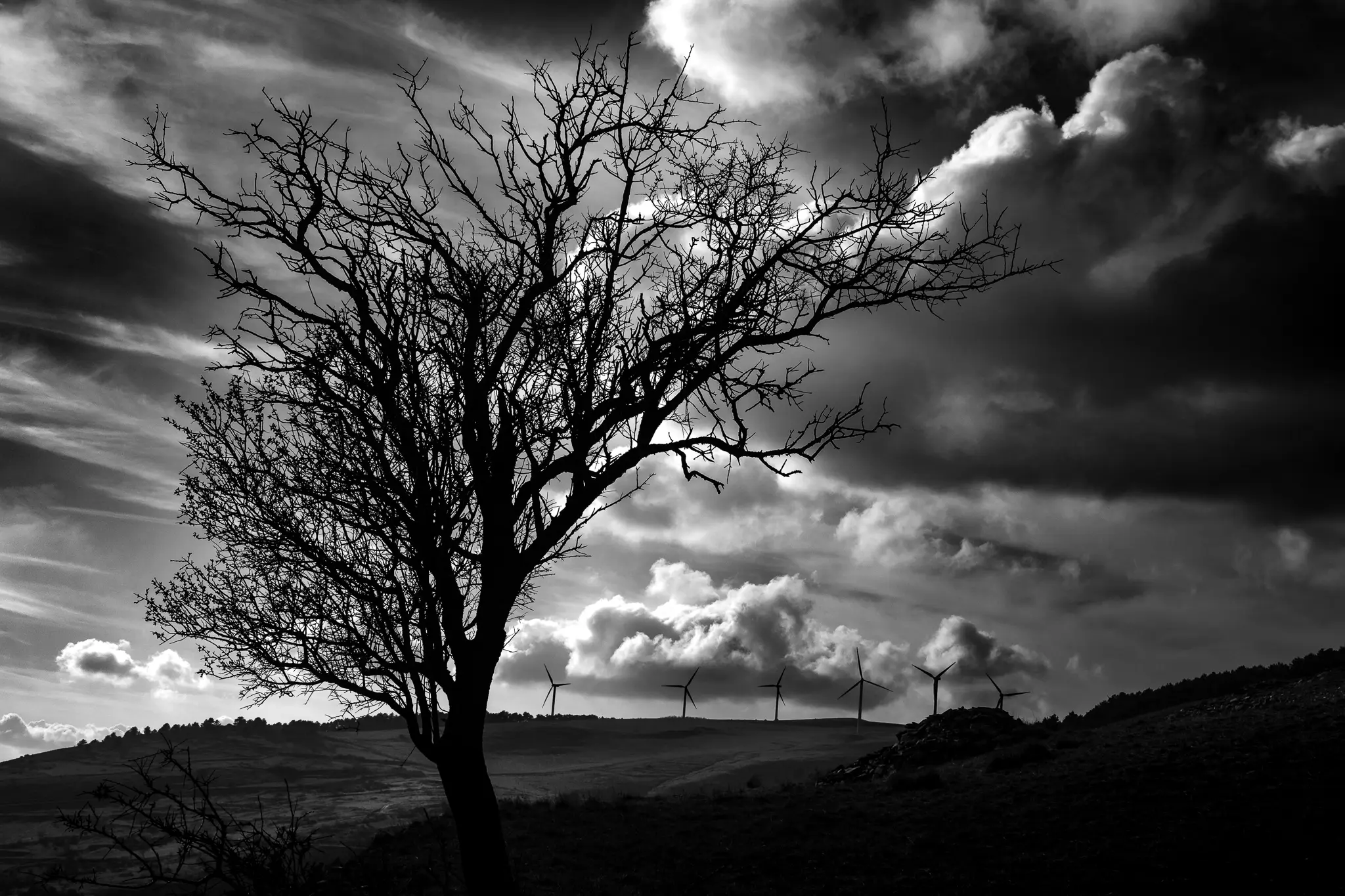 Burned by the Wind